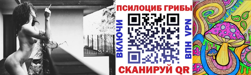 купить   Хотьково  Псилоцибиновые грибы Psilocybine cubensis 